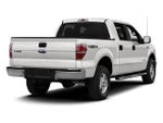2013 Ford F-150 2WD SuperCrew 5-1/2 Ft Box XL
